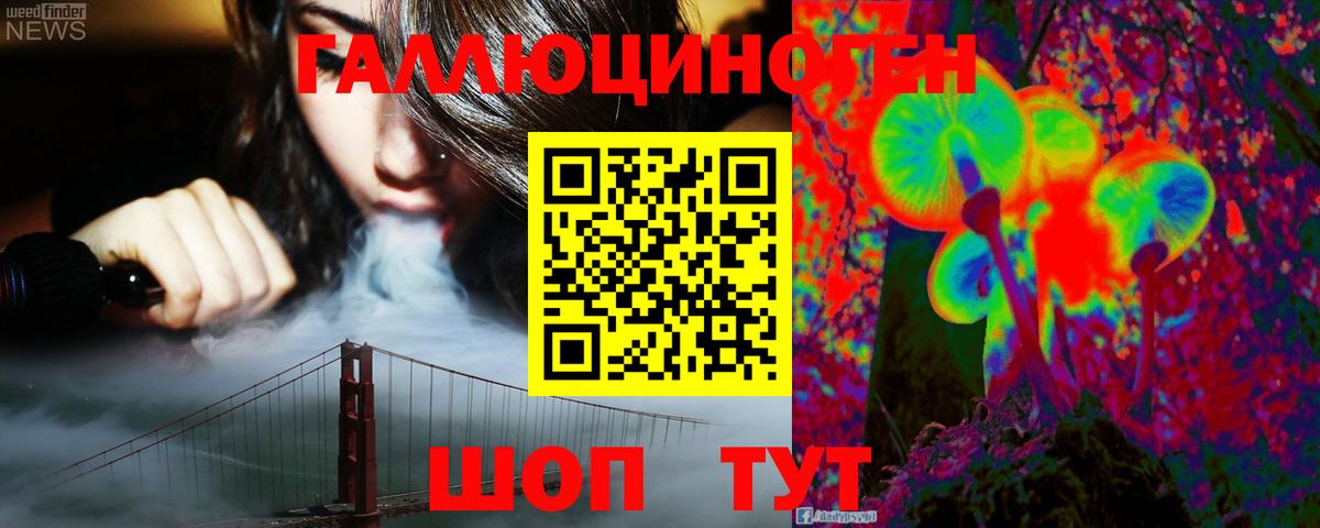Псилоцибиновые грибы мицелий Конаково